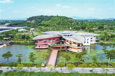 p1_b.jpg
